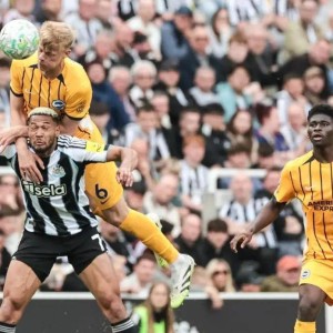 0-3，3-1！英超疯狂夜！枪手死咬曼城，西汉姆告负，热刺天降大礼